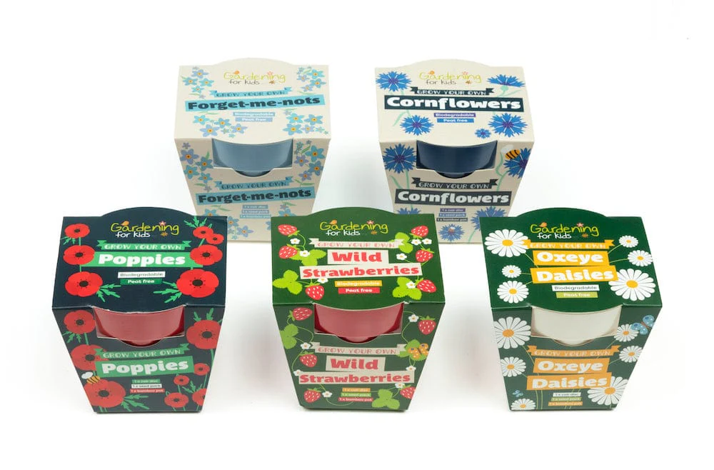 Forget-Me-Not Growing Kit with Pot - Image 8