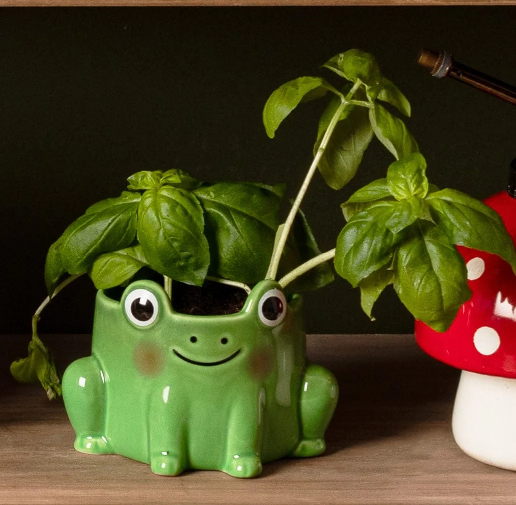 Frog Mini Planter