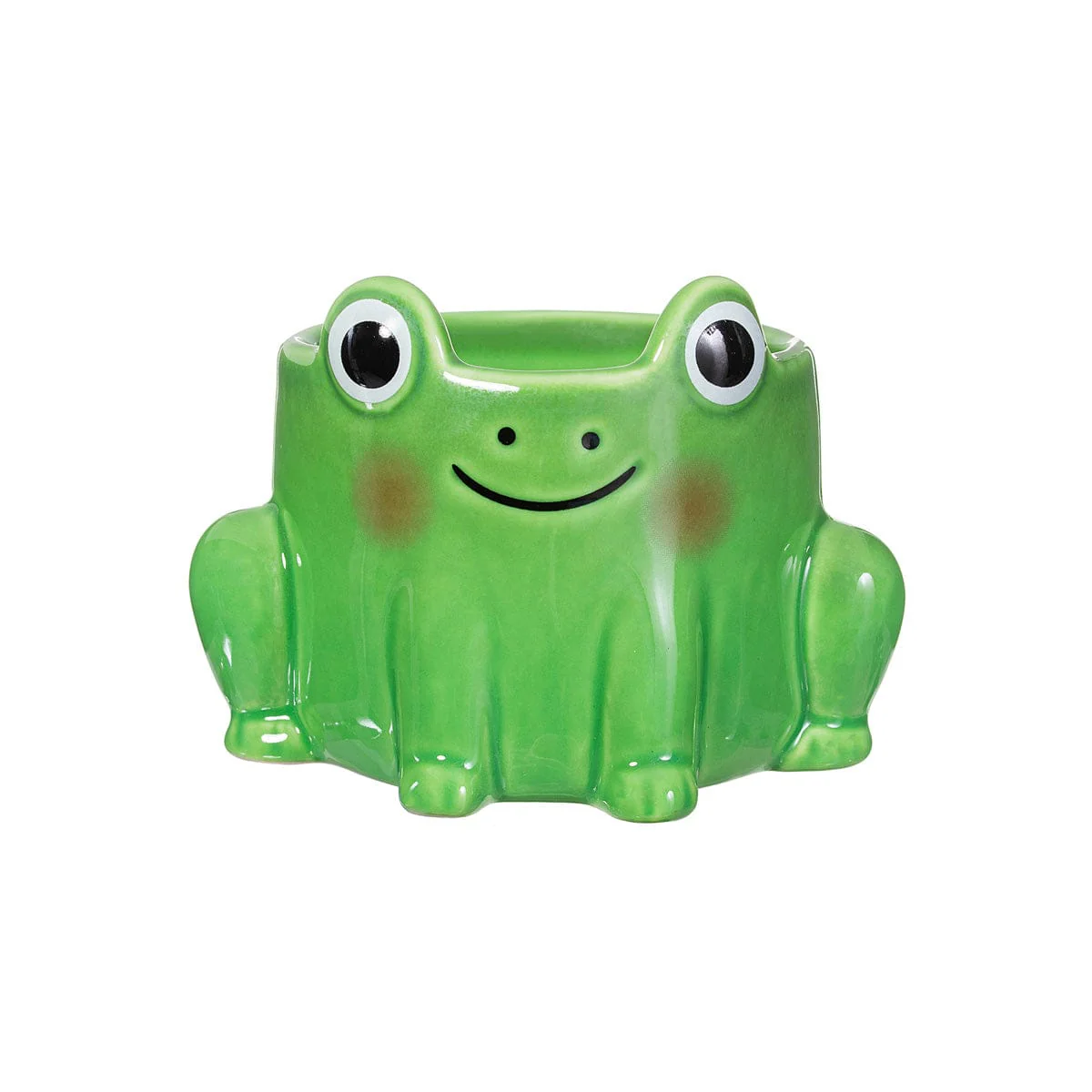 Frog Mini Planter - Image 2