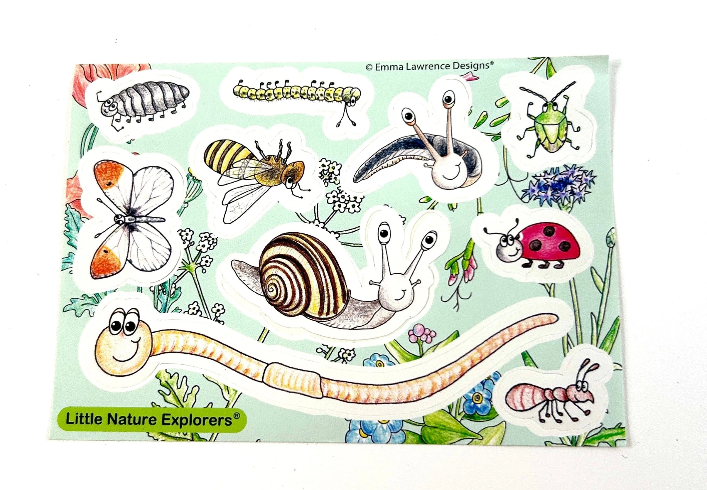 Little Nature Explorers Grow Your Own Wildflower Children's Growing Kit - Image 6
