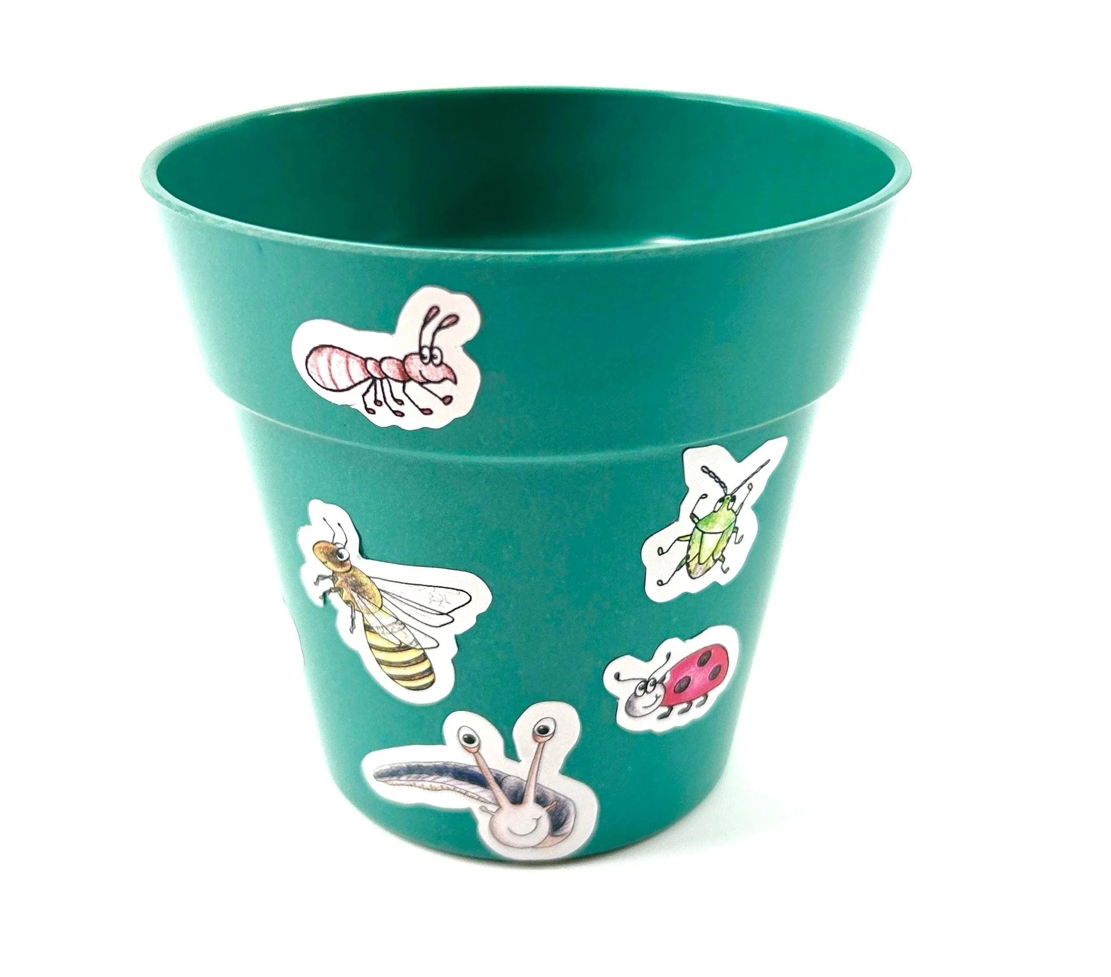 Little Nature Explorers Grow Your Own Wildflower Children's Growing Kit - Image 5