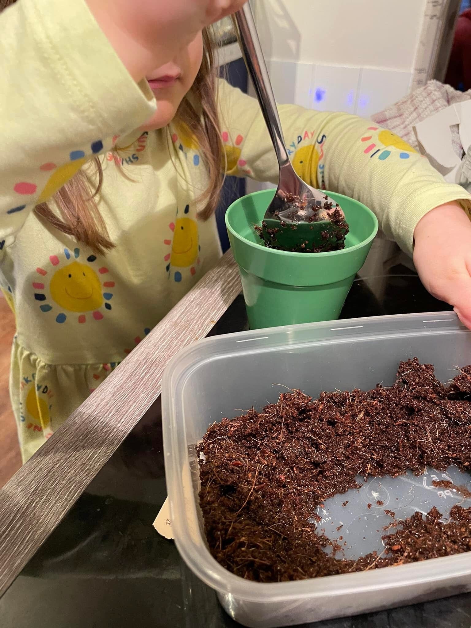 Children's Grow Your Own Peas Growing Kit with Pot - Image 8