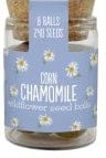 Seedballs Wildflower Jars - Image 14