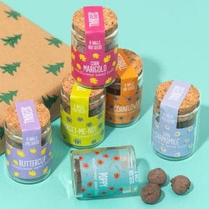 Seedballs Wildflower Jars - Image 2