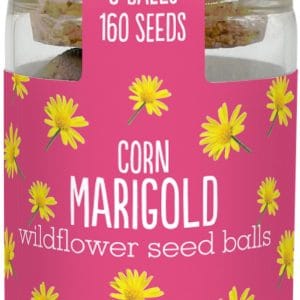 Seedballs Wildflower Jars - Image 4