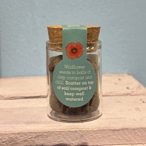 Seedballs Wildflower Jars - Image 5