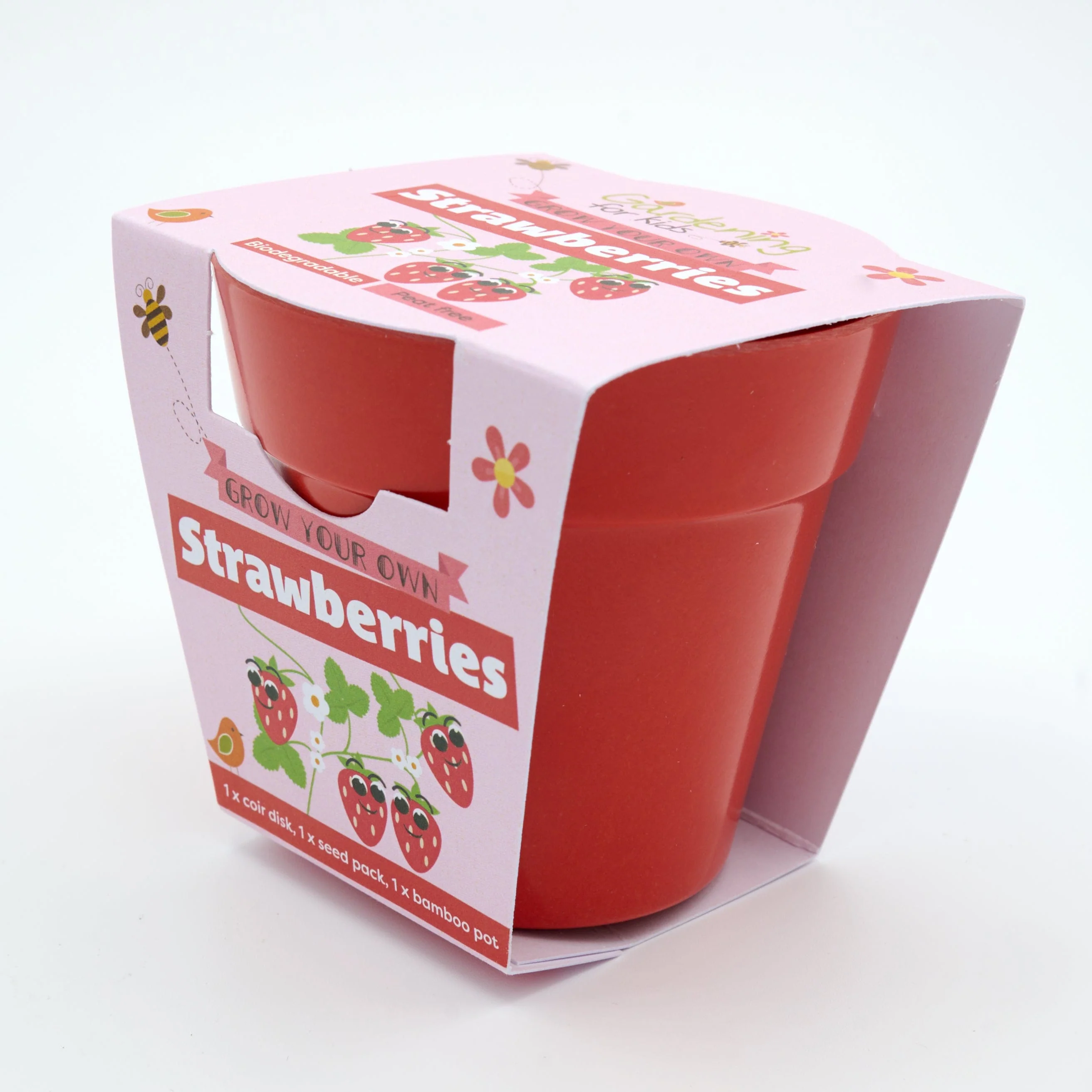 Strawberries Growing Kit with Pot - Image 2