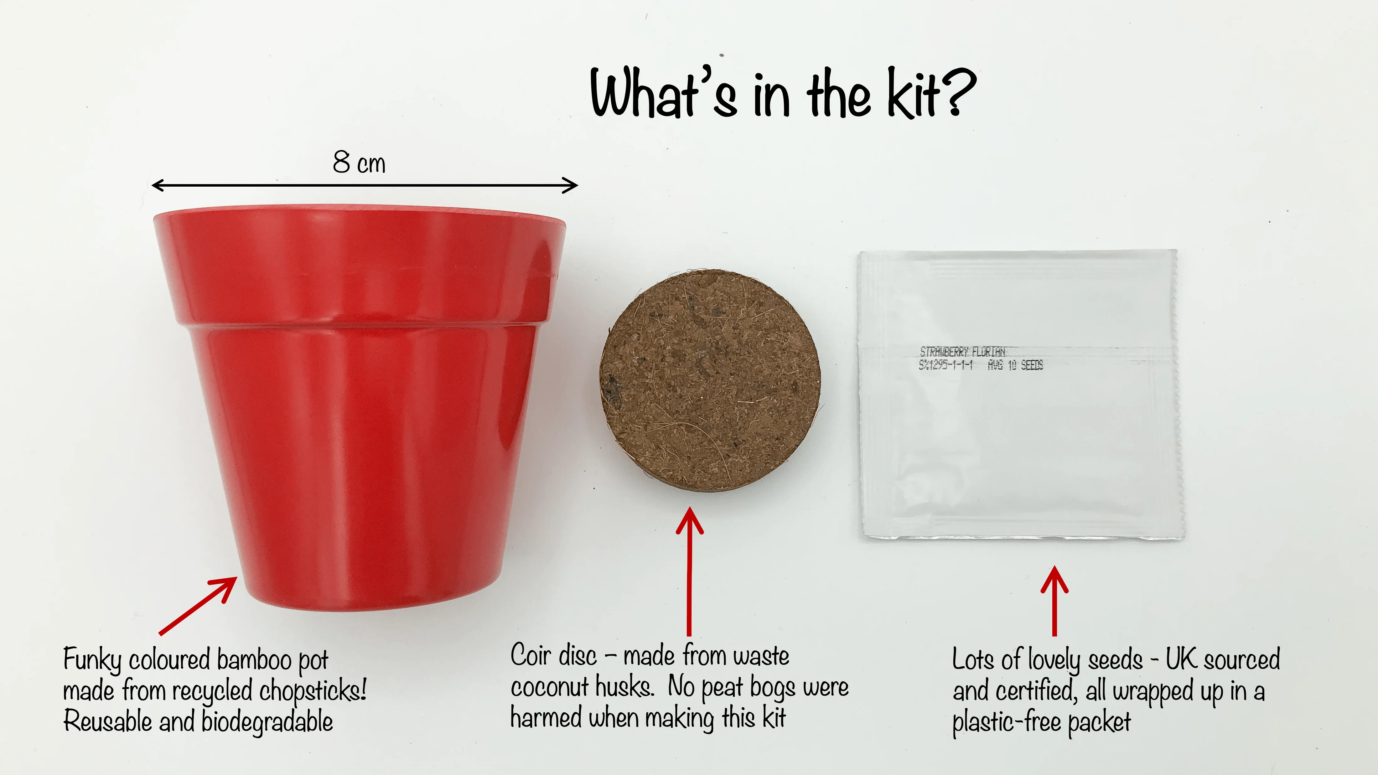 Strawberries Growing Kit with Pot - Image 3