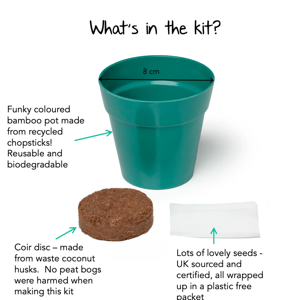 Sweet Pea Growing Kit with Pot - Image 8