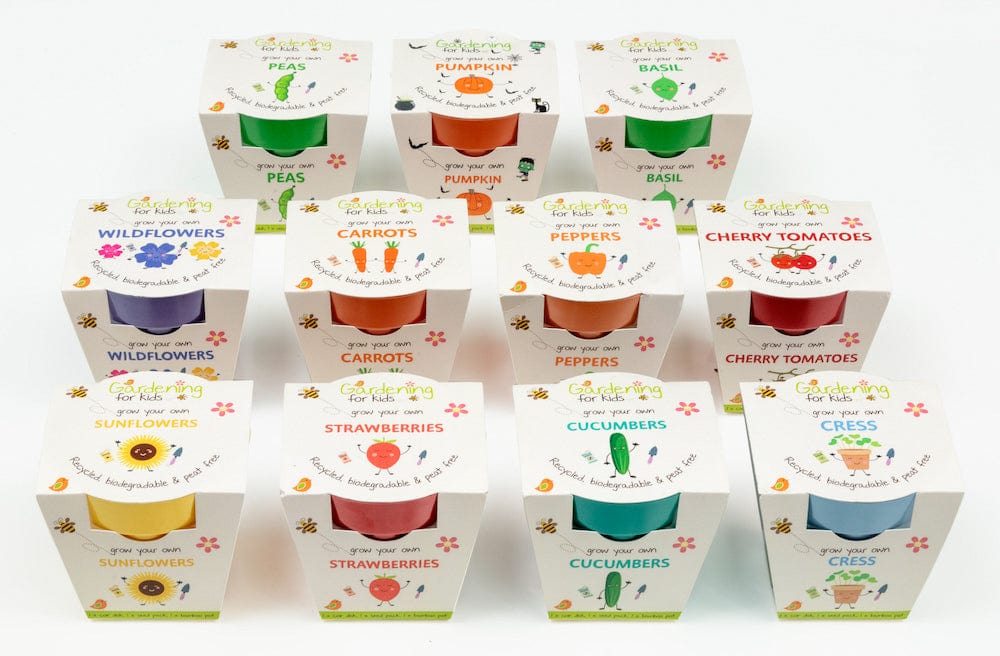Wildflower Growing Kit with Pot - Image 6